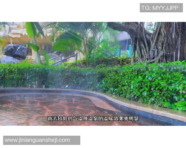 冈山绿雉与温泉的奇妙邂逅探寻自然与人文的完美融合