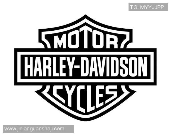 戴维森与贴吧的较量：网络文化的碰撞与思考