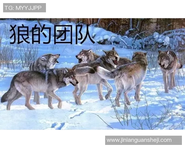 阿克灵与布莱的激烈对决揭示足球战术与团队协作的精彩瞬间