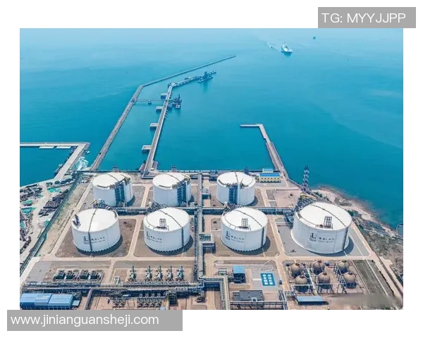 数据分析揭示LNG市场配合表现及其对能源供应链的影响探讨